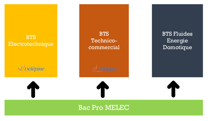 Graphique présentant les poursuites d'étude possibles après un Bac Pro MELEC au CFA Delépine.