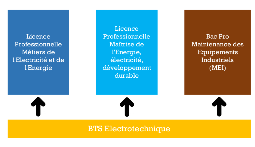 Graphique présentant les poursuites d'étude possibles après un BTS Electrotechnique au CFA Delépine.